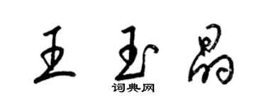 梁錦英王玉晶草書個性簽名怎么寫