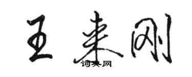 駱恆光王來剛行書個性簽名怎么寫