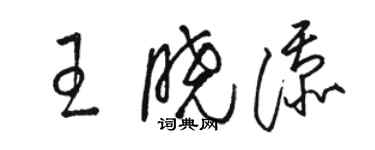 駱恆光王曉添草書個性簽名怎么寫