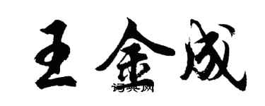 胡問遂王金成行書個性簽名怎么寫