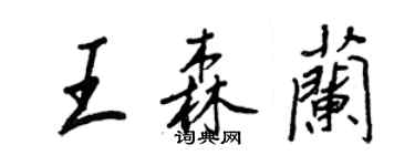 王正良王森蘭行書個性簽名怎么寫