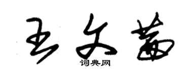 朱錫榮王文茜草書個性簽名怎么寫