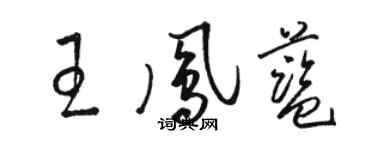 駱恆光王鳳藍草書個性簽名怎么寫