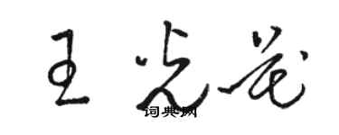 駱恆光王光花草書個性簽名怎么寫