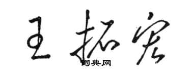 駱恆光王拓宏草書個性簽名怎么寫