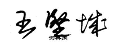 朱錫榮王堅城草書個性簽名怎么寫