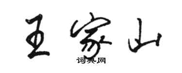 駱恆光王家山行書個性簽名怎么寫