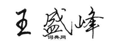 駱恆光王盛峰行書個性簽名怎么寫