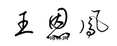 梁錦英王恩鳳草書個性簽名怎么寫