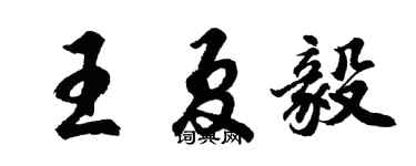 胡問遂王夏毅行書個性簽名怎么寫