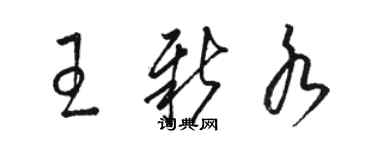 駱恆光王新水草書個性簽名怎么寫