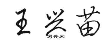 駱恆光王興苗行書個性簽名怎么寫