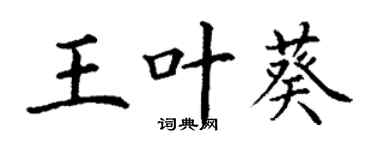丁謙王葉葵楷書個性簽名怎么寫
