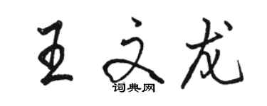 駱恆光王文龍行書個性簽名怎么寫