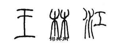 陳墨王林江篆書個性簽名怎么寫