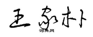 曾慶福王家朴草書個性簽名怎么寫