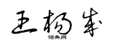 曾慶福王楊成草書個性簽名怎么寫