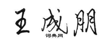 駱恆光王成朋行書個性簽名怎么寫