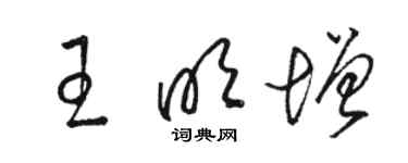 駱恆光王明增草書個性簽名怎么寫