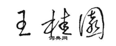 駱恆光王桂園草書個性簽名怎么寫