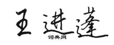 駱恆光王進蓬行書個性簽名怎么寫