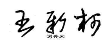 朱錫榮王新柯草書個性簽名怎么寫