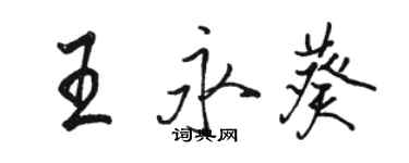 駱恆光王永葵行書個性簽名怎么寫