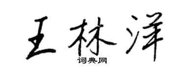 王正良王林洋行書個性簽名怎么寫