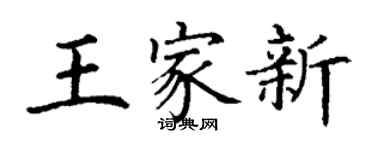 丁謙王家新楷書個性簽名怎么寫