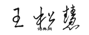 駱恆光王松慧草書個性簽名怎么寫