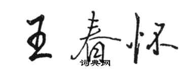駱恆光王春懷行書個性簽名怎么寫