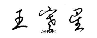 梁錦英王寒星草書個性簽名怎么寫