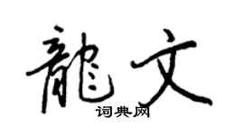 王正良龍文行書個性簽名怎么寫