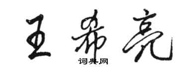 駱恆光王希亮行書個性簽名怎么寫