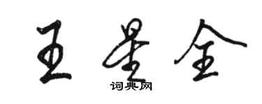 駱恆光王星全行書個性簽名怎么寫