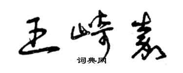 曾慶福王崎嘉草書個性簽名怎么寫