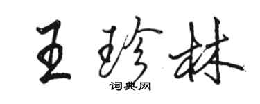 駱恆光王珍林行書個性簽名怎么寫