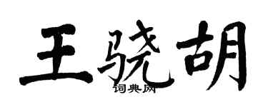 翁闓運王驍胡楷書個性簽名怎么寫