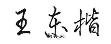 駱恆光王東楷行書個性簽名怎么寫