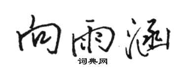 駱恆光向雨涵行書個性簽名怎么寫