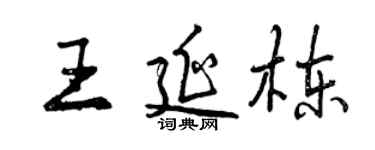 曾慶福王延棟行書個性簽名怎么寫