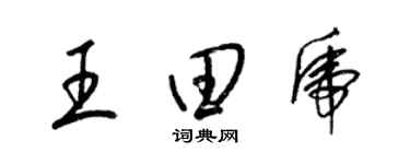 梁錦英王田虎草書個性簽名怎么寫