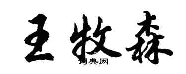 胡問遂王牧森行書個性簽名怎么寫