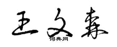 曾慶福王文森草書個性簽名怎么寫