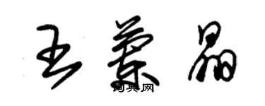 朱錫榮王蘭晶草書個性簽名怎么寫