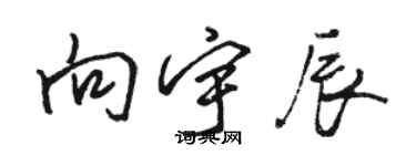 駱恆光向宇辰行書個性簽名怎么寫