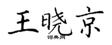丁謙王曉京楷書個性簽名怎么寫