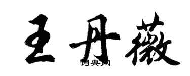 胡問遂王丹薇行書個性簽名怎么寫