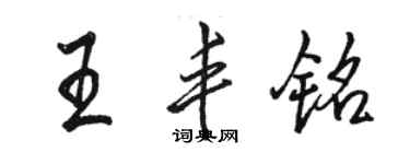 駱恆光王豐銘行書個性簽名怎么寫