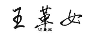 駱恆光王革女行書個性簽名怎么寫